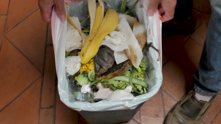 Professional Junk Removal Services in La Follette, TN